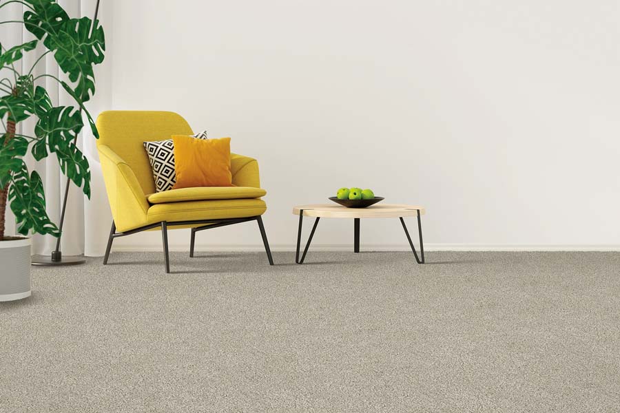 Exploring the latest carpet trends