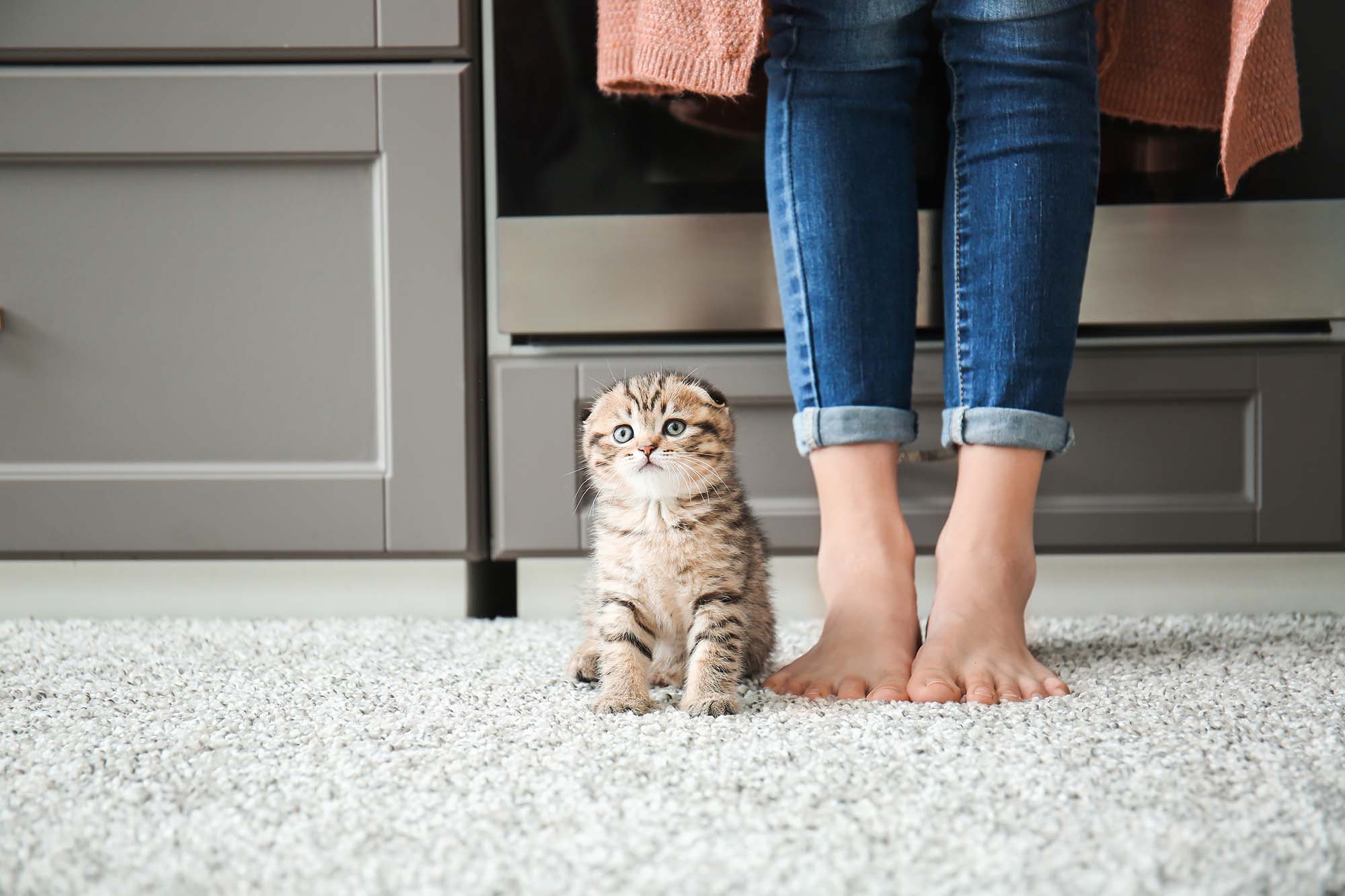 5 ways to warm up your cold floors (and feet!)