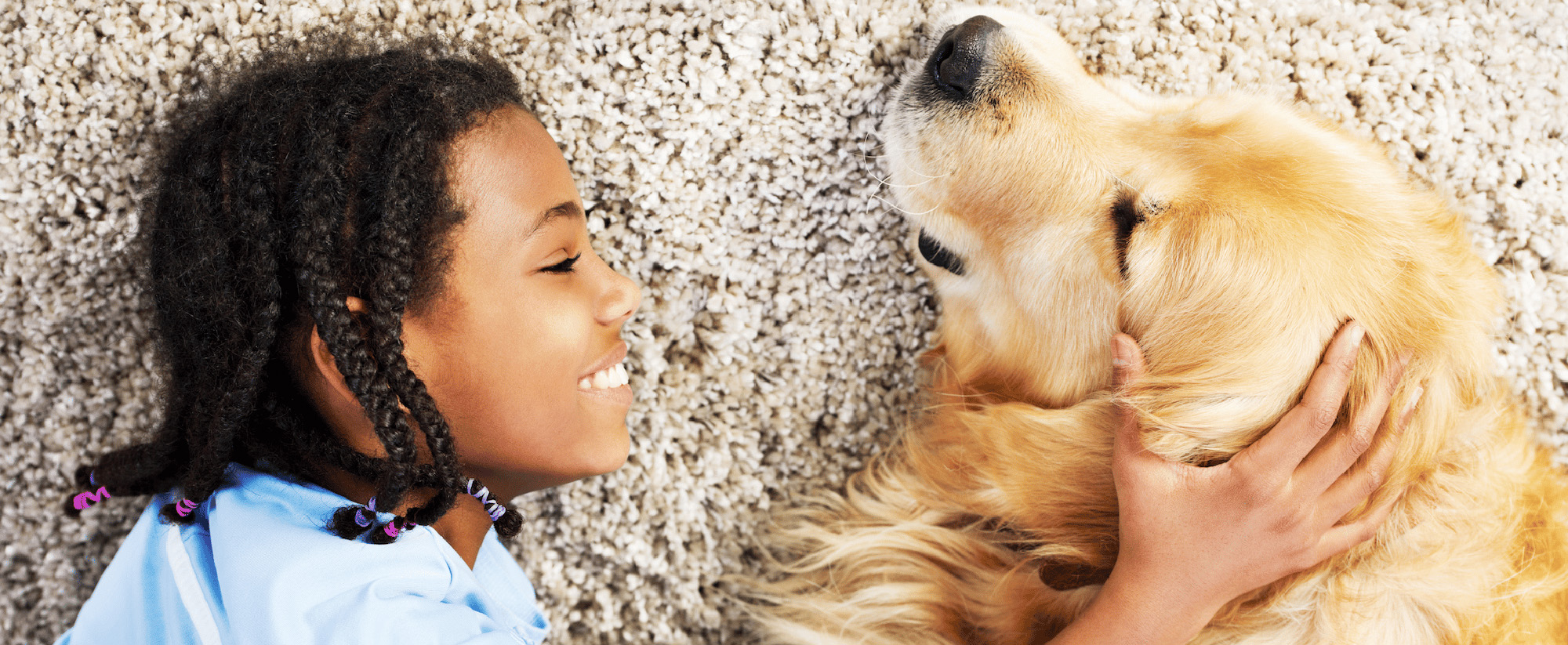 General - The Practical Side of Plush: Durability & Stain Resistance in Modern Carpet Flooring | Giant Commercial Flooring