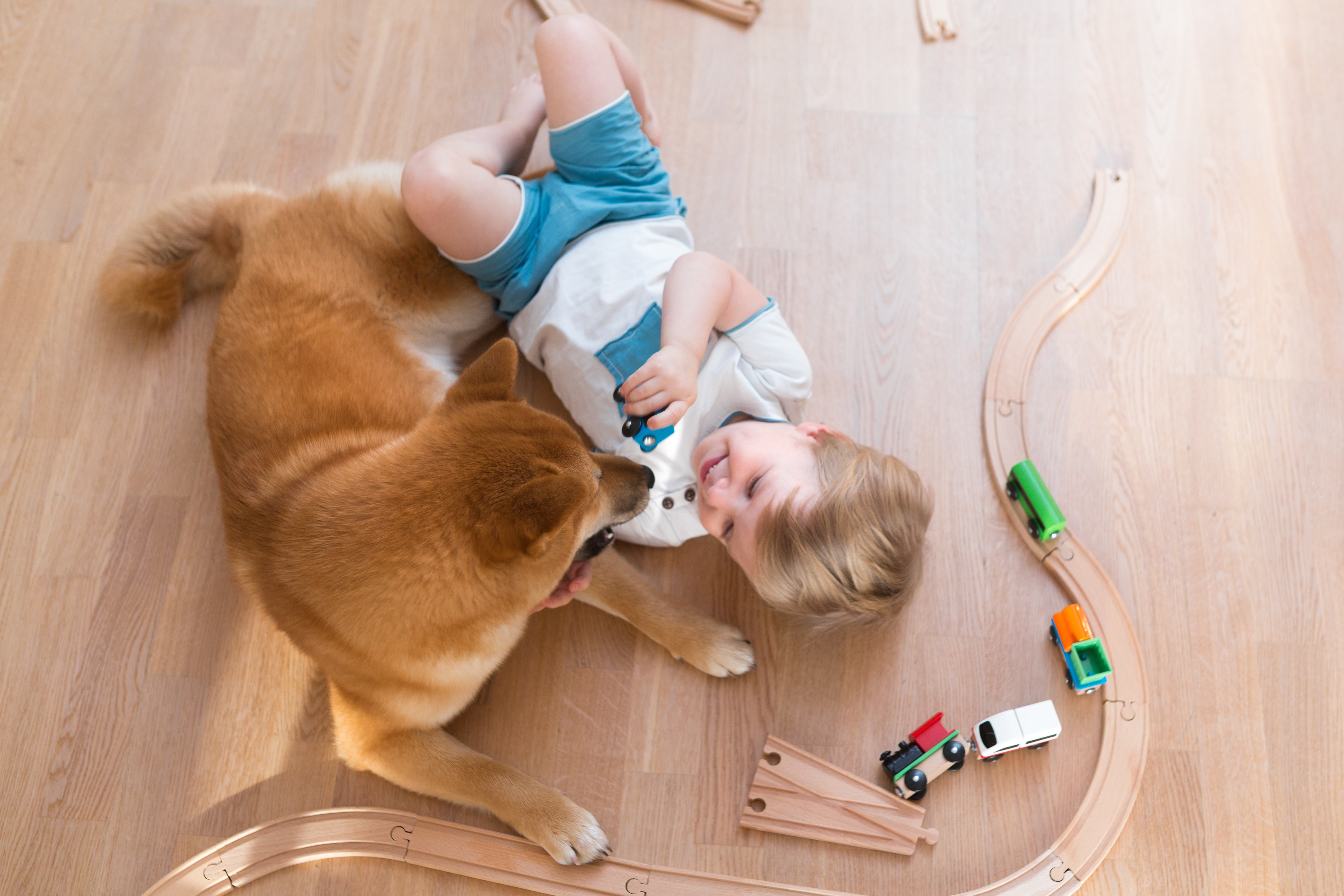 How to Choose Laminate Flooring Textures That Mimic Real Hardwood Without the Cost