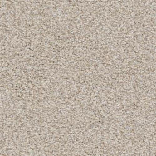 Shop for Carpet in Enid, OK from A To Z Flooring