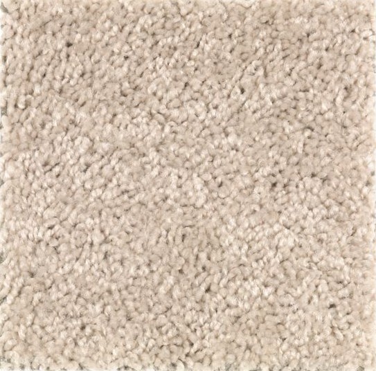 Shop for Carpet in San Diego, CA from Legacy Wholesale Flooring