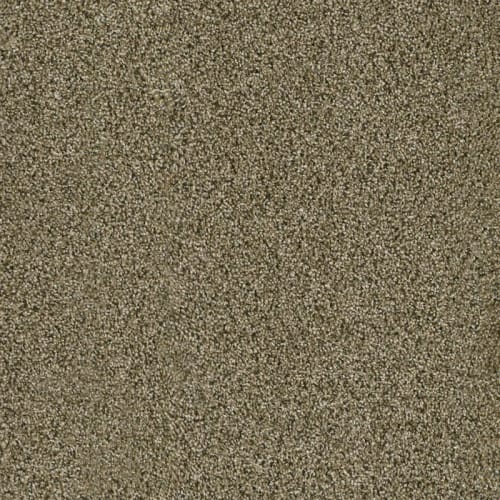 Shop for Carpet in Warren City, MI from Floor4Life