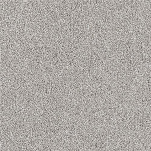 Shop for Carpet in Plymouth, MN from Brenner Floors