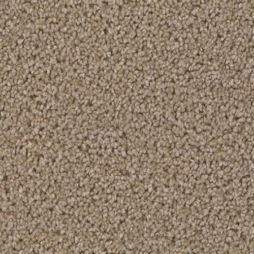 Shop for Carpet in City, State from JK Carpets