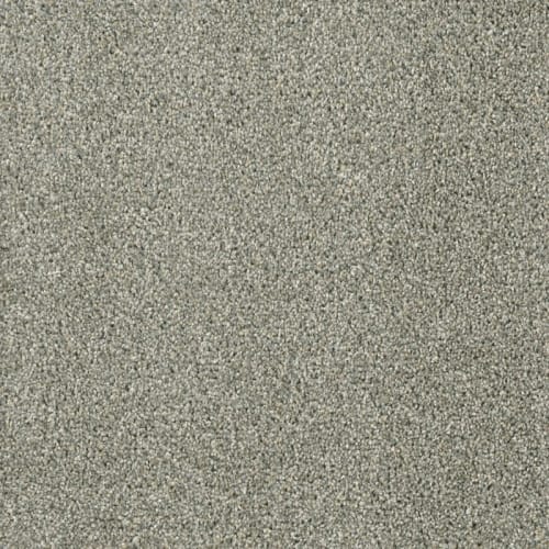 Shop for Carpet in Grand Rapids, MI from Main Street Flooring and Interiors