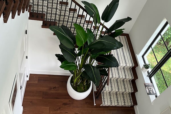 View work from California Designs in the Palm Beach, FL<br/> area