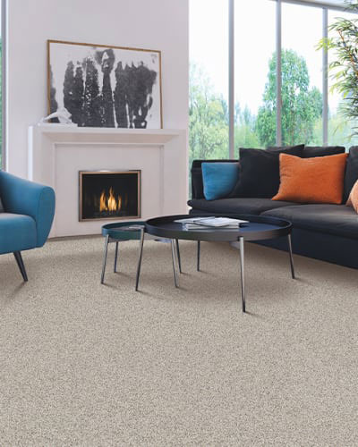 Carpet flooring in South Park, PA from D.L Richie Paint n' Decorating Center