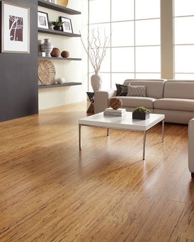 Hardwood flooring in Mount Lebanon, PA from D.L Richie Paint n' Decorating Center