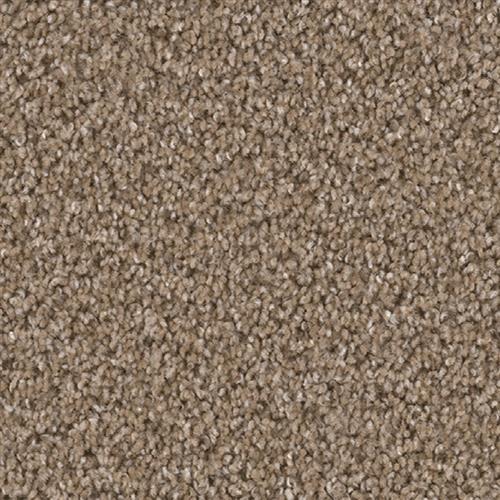 Shop for Carpet in Coal City, IL from West Flooring Company