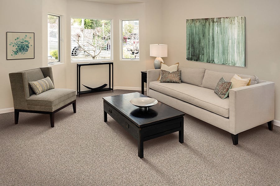 Durable carpet in Prescott Valley, AZ from Prescott Flooring Brokers