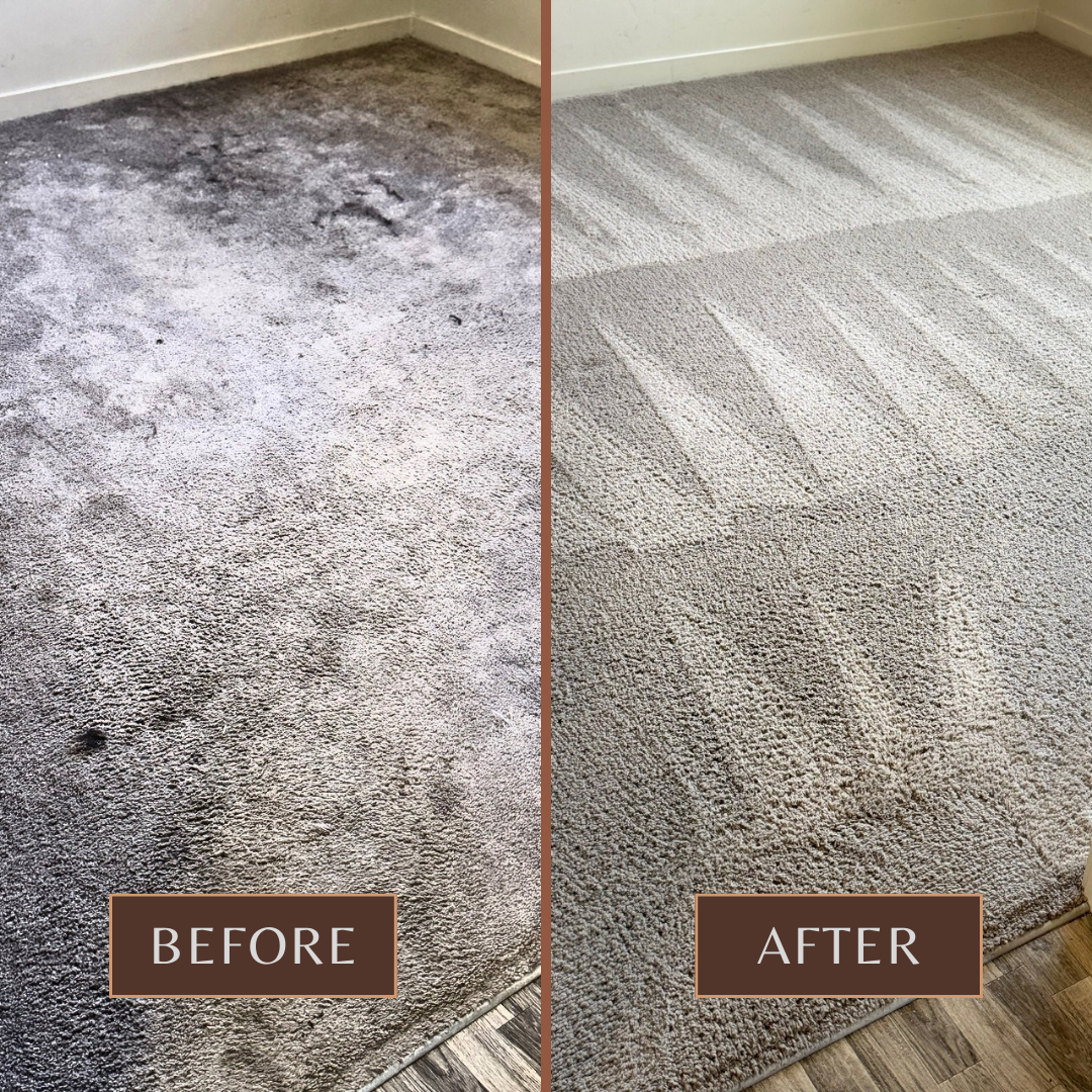 Before and After carpet work 