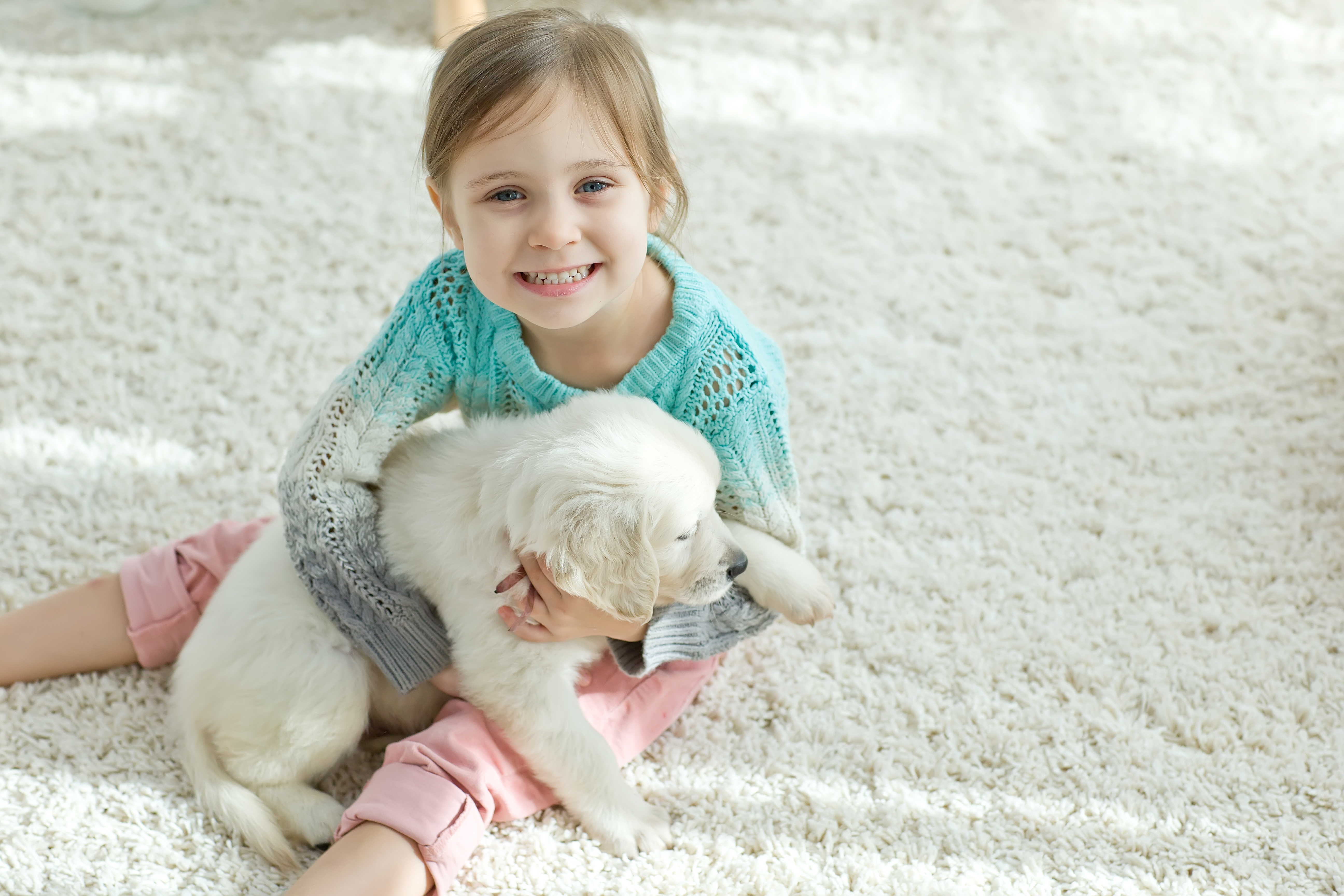 what is pet friendly carpet Martinsburg, PA