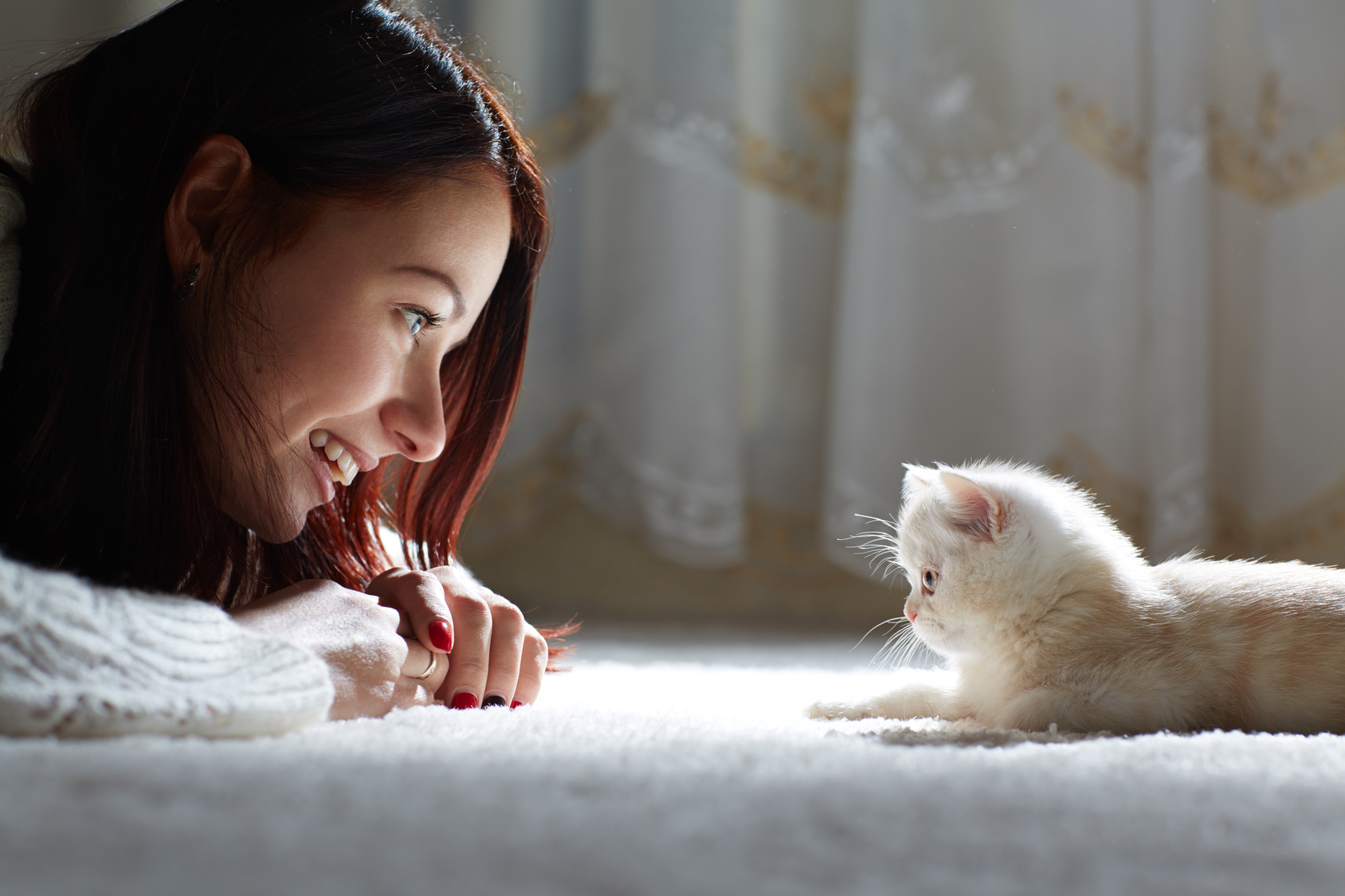 what is the most pet friendly carpet Martinsburg, PA