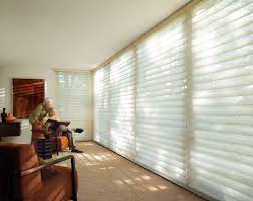 Silhouette Window Shadings