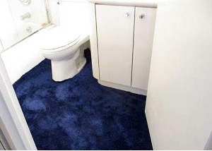 A blue carpet in a bathroom