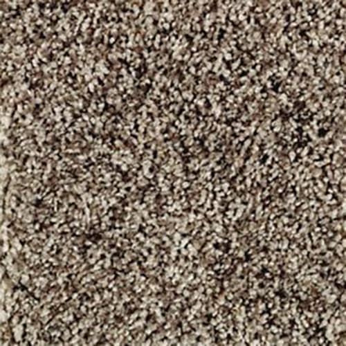 Shop for Carpet in Cleveland, OH from Carpet Warehouse