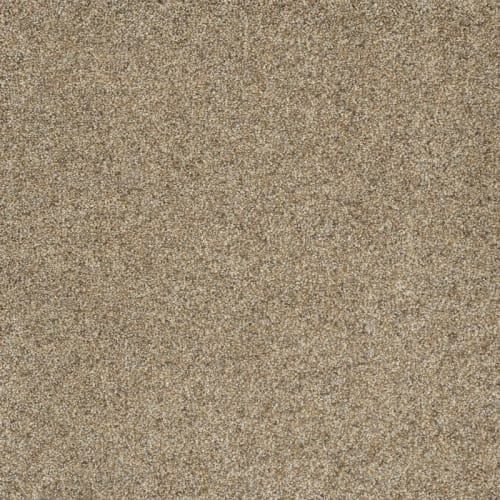 Shop for Carpet in Wylie, TX from Wylie Carpet & Tile