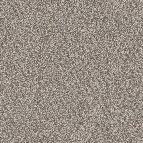 Carpet in Redwood City, CA