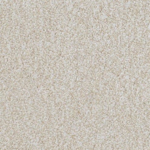 Shop for Carpet in Toronto, ON from CS Flooring