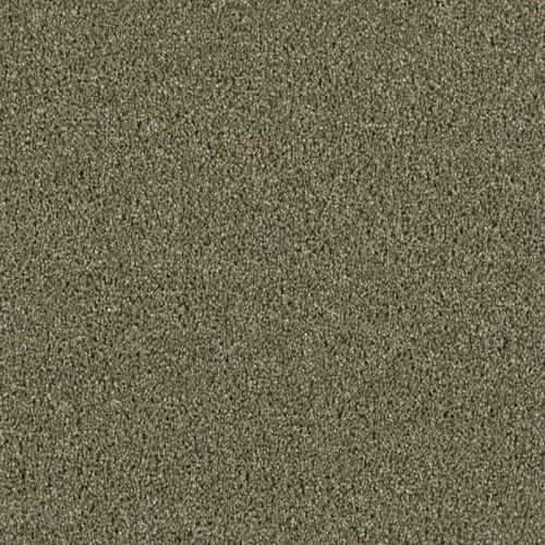 Shop for Carpet in Bloomington, CA from HM Flooring Group - San Bernardino