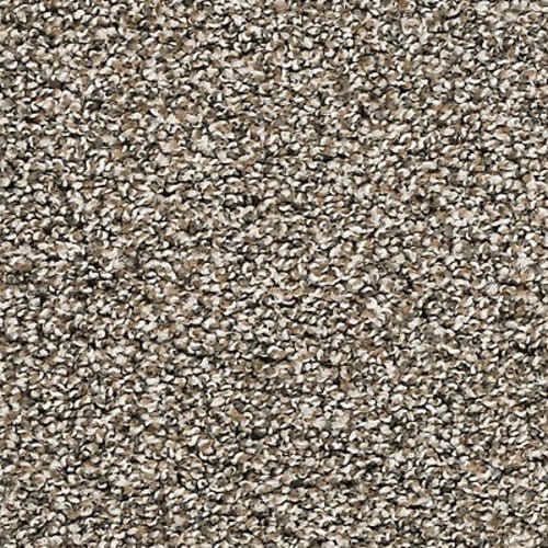 Shop for Carpet in Port St. Lucie, FL from Six-S Flooring
