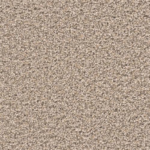 Shop for Carpet in Stonington, CT from Mystic Coastal Flooring