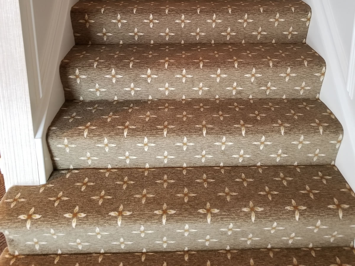 [PRODUCTNAME HERE] in Glen Ellyn, or La Grange, IL