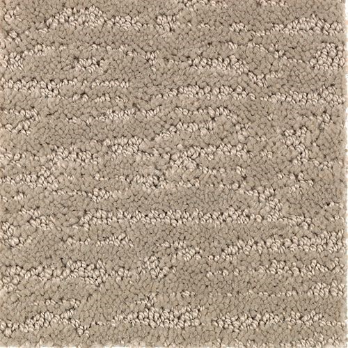 Carpet in Sarasota, FL