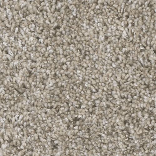 Carpet in New Bern, NC