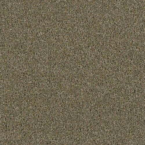 Carpet in Troy, MI