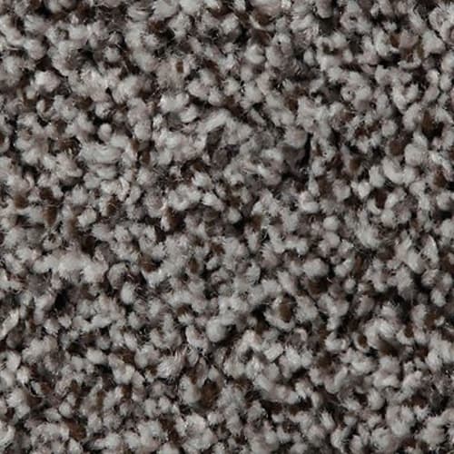 Shop for Carpet in Belle Plaine,MN from Berger Interiors