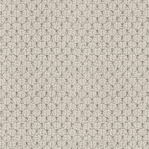 Shop for Carpet in Orange, CT from Floor Decor