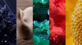 A collage of different imagesDescription automatically generated