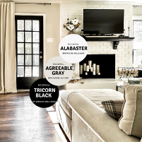 A living room with a fireplace and a couchDescription automatically generated