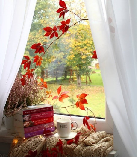A window with a mug and booksDescription automatically generated