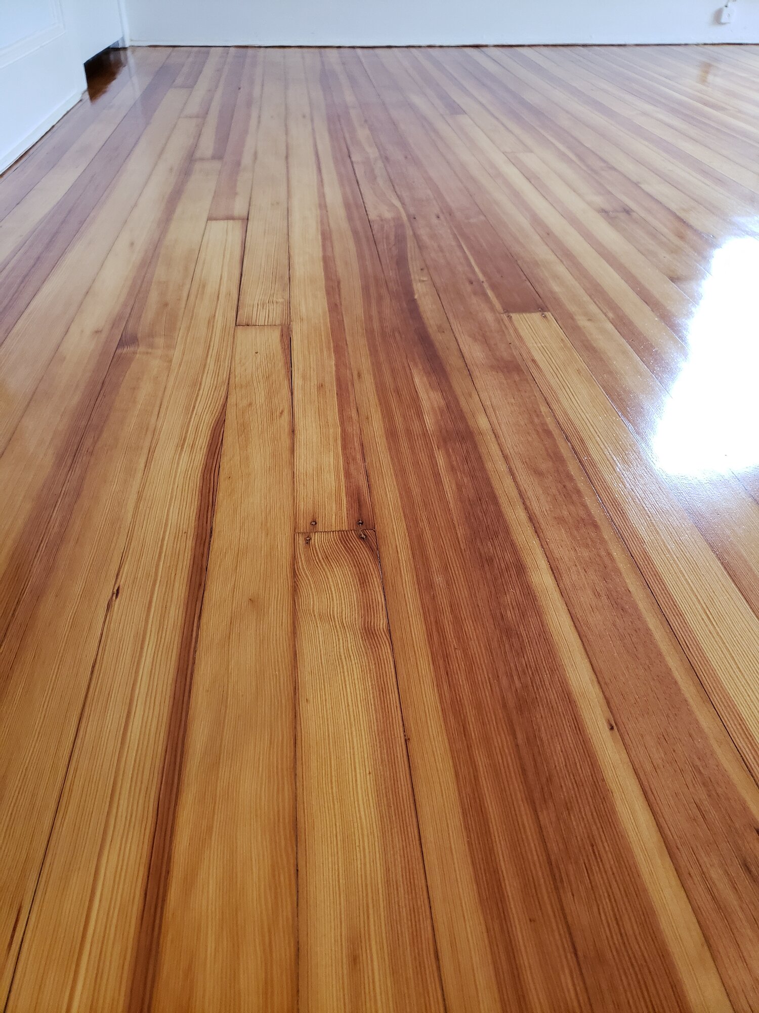 [PRODUCTNAME HERE] in Wayne Township, NJ