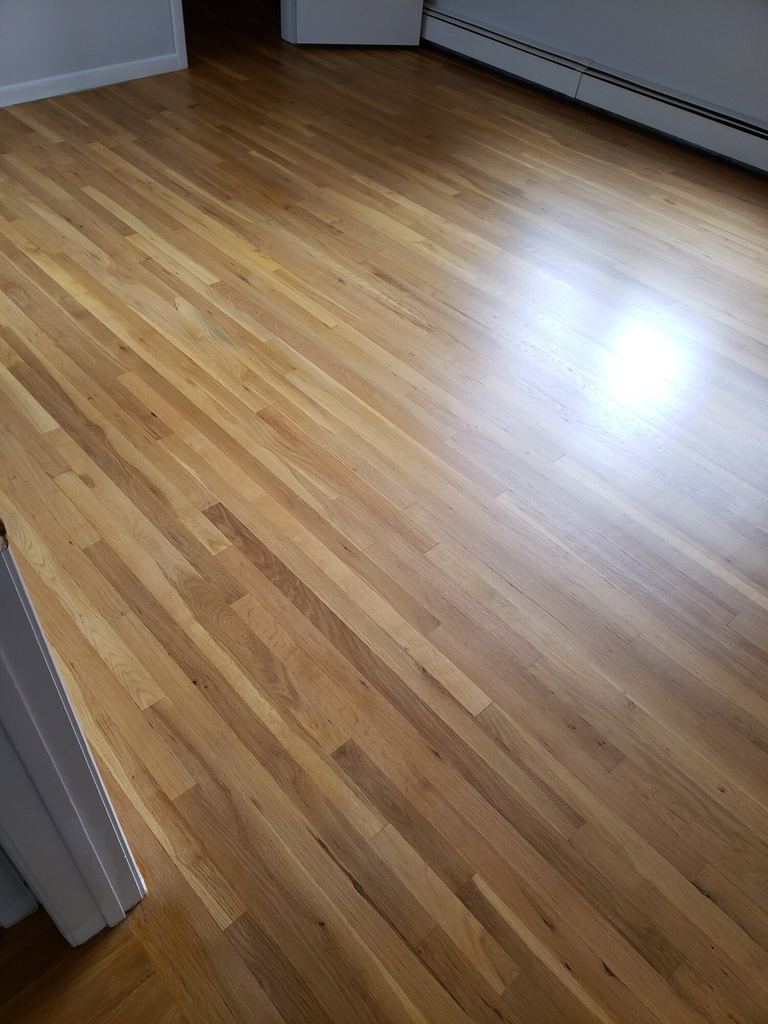 [PRODUCTNAME HERE] in Wayne Township, NJ