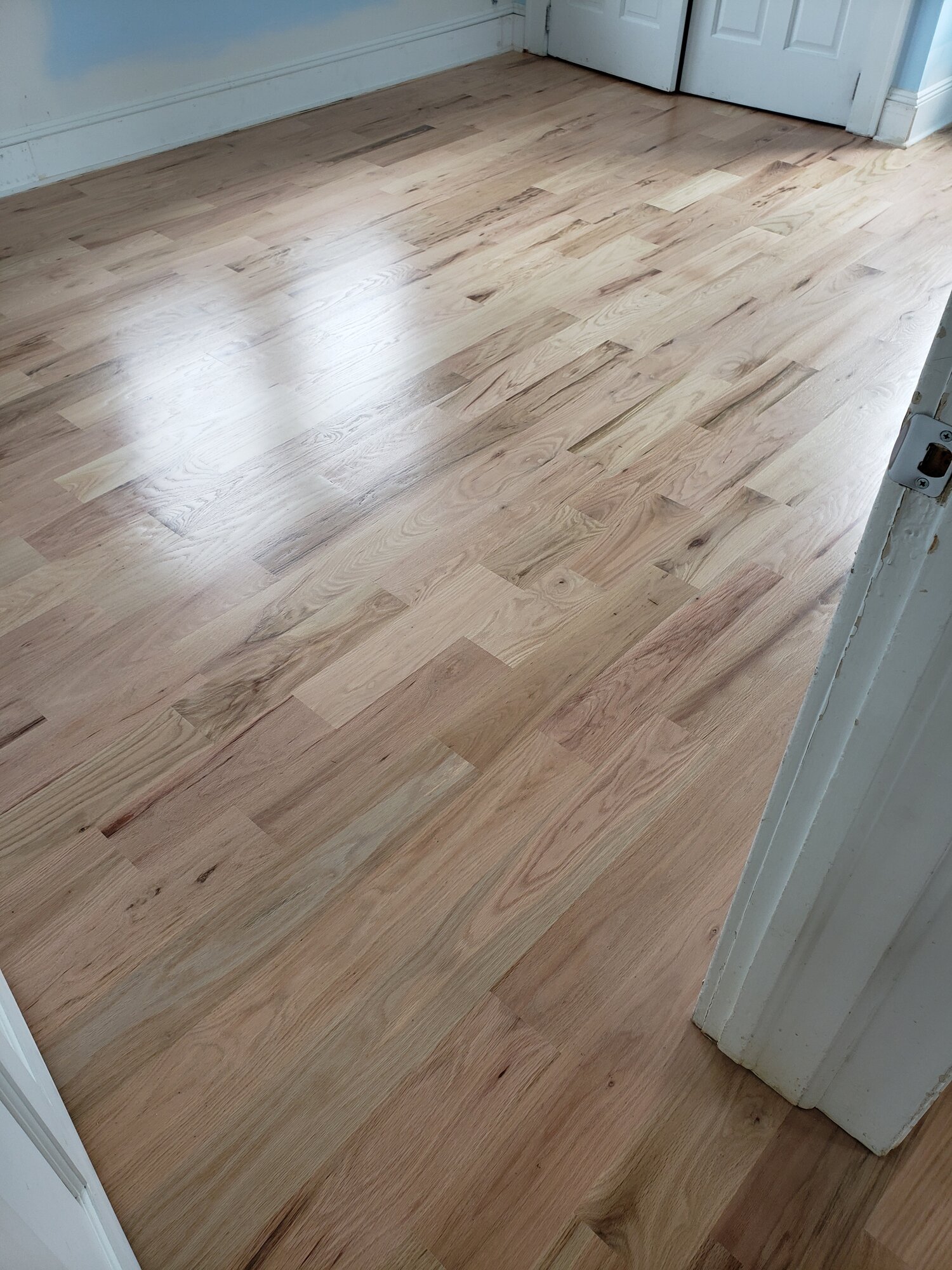 [PRODUCTNAME HERE] in Wayne Township, NJ