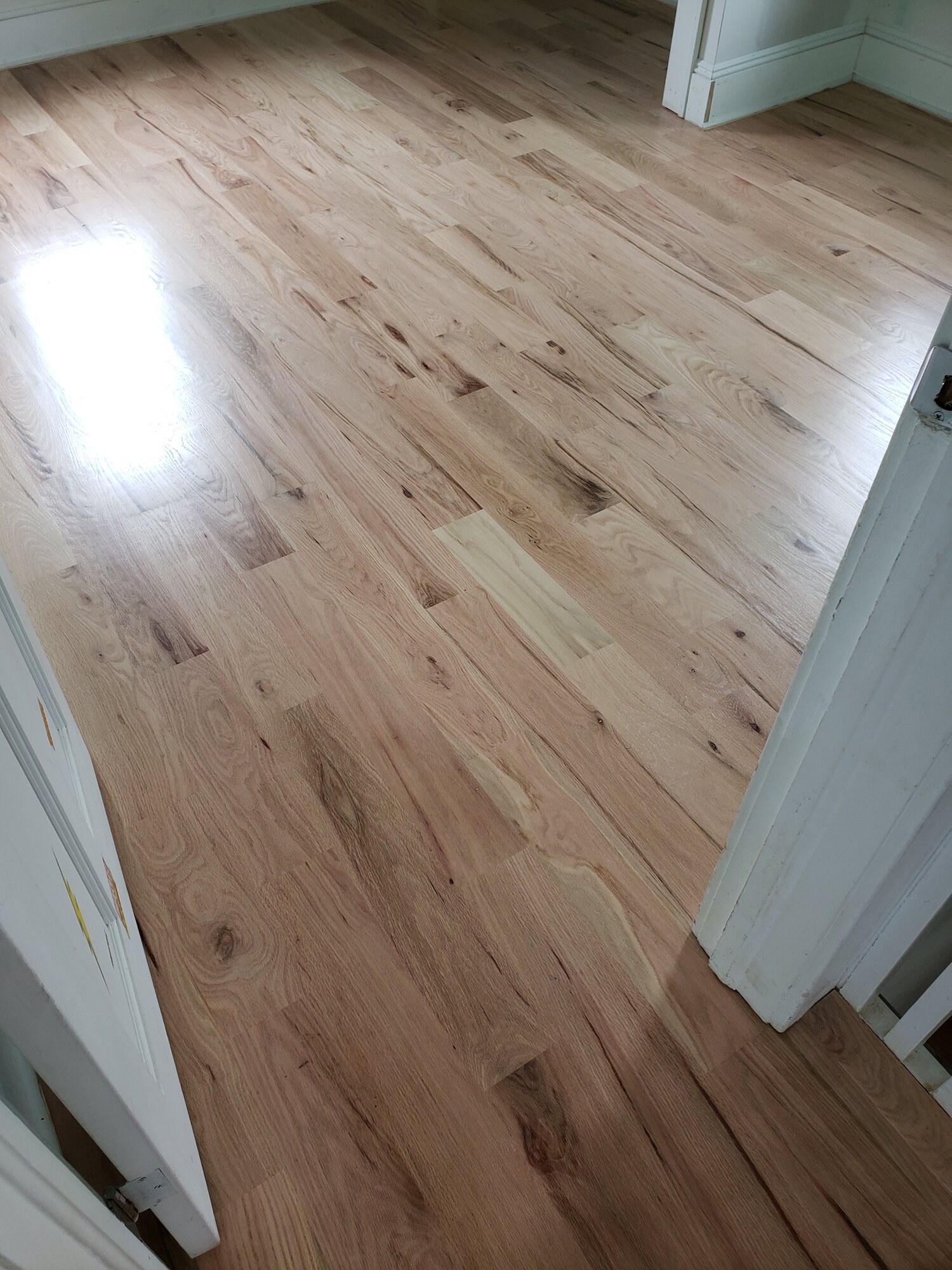 [PRODUCTNAME HERE] in Wayne Township, NJ