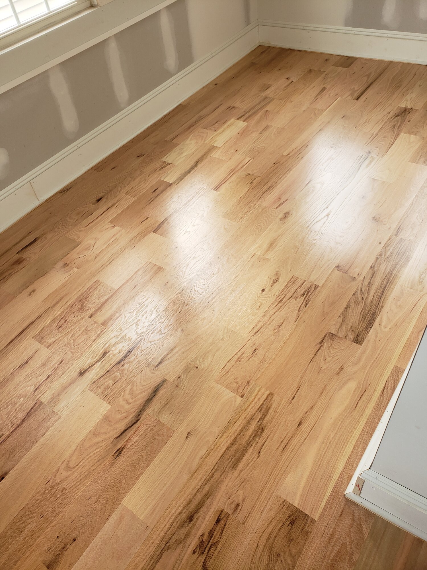 [PRODUCTNAME HERE] in Wayne Township, NJ