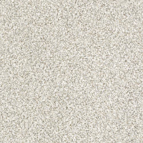 Shop for Carpet in Edmonton from Paramount Flooring