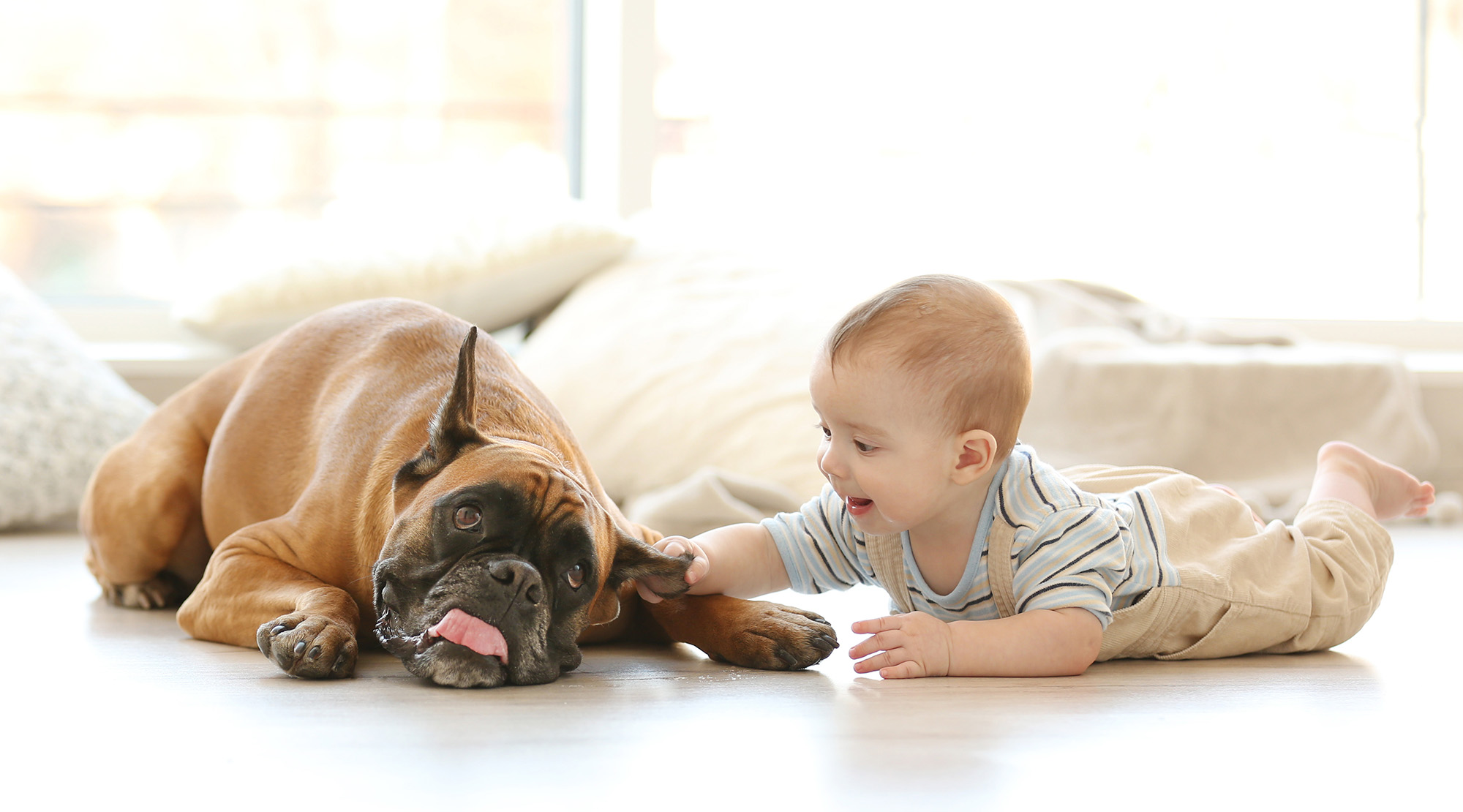 laminate floor cleaning tips Killeen, TX