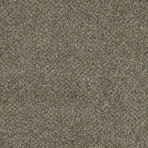 Shop for Carpet in Overland Park, KS from Carpet Corner
