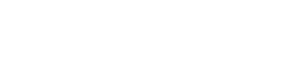 Action Carpet & Floor Decor