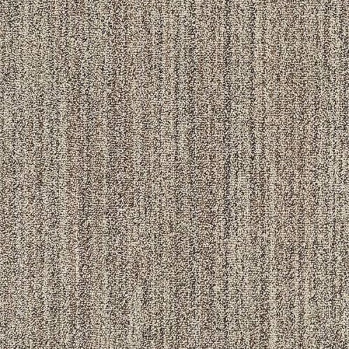 Shop for Carpet in Lancaster, OH from Totten's Floors