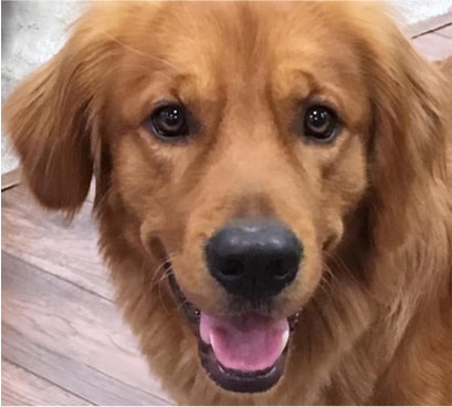 TUCKER TUCKER