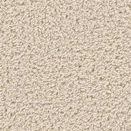 Shop for Carpet in El Paso, TX from Casa Carpet, Tile & Wood Wholesale Distributors
