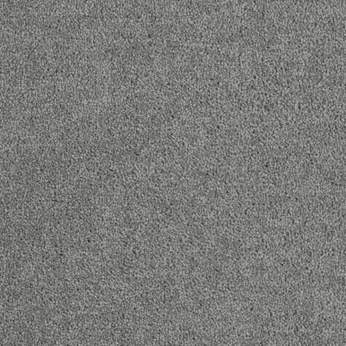 Carpet in Frederick, MD