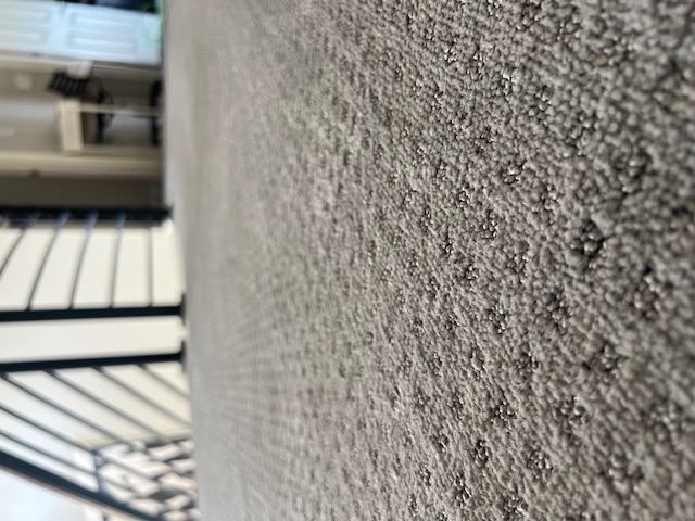 About carpet in Littleton, CO from Wagner Floors